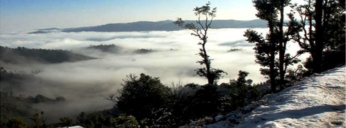 495/Mountain Trail Resort - Mukteshwar 15.jpg